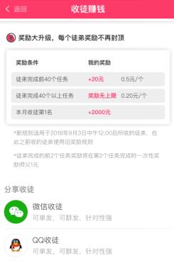 糖果猫,收徒赚钱