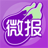 茄子微报